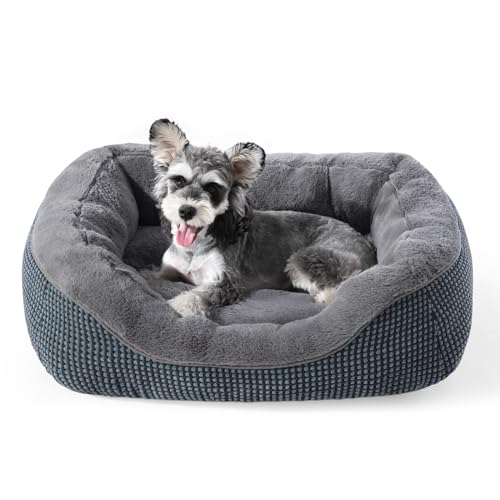 Small Dog Bed Washable Orthopedic Pet Bed with Anti-Slip Bottom S(20"x19"x6") A3322